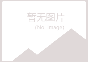 阳山县埋没服务有限公司